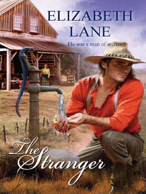 Cover of the book The Stranger by Elizabeth Lane, Harlequin