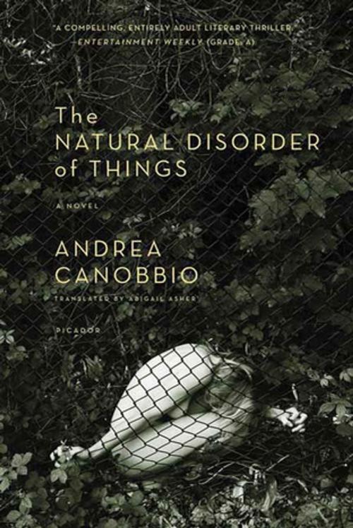 Cover of the book The Natural Disorder of Things by Andrea Canobbio, Farrar, Straus and Giroux