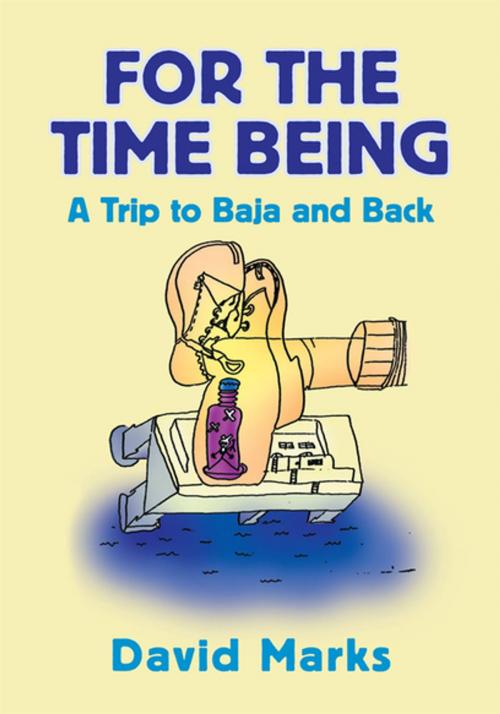 Cover of the book For the Time Being by David Marks, Xlibris US