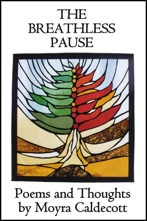 Cover of the book The Breathless Pause by Moyra Caldecott, Mushroom Publishing
