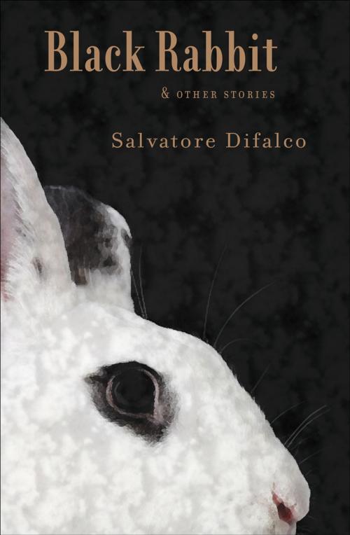 Cover of the book Black Rabbit and Other Stories by Salvatore Difalco, Anvil Press