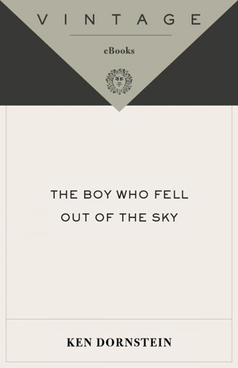 Big bigCover of The Boy Who Fell Out of the Sky