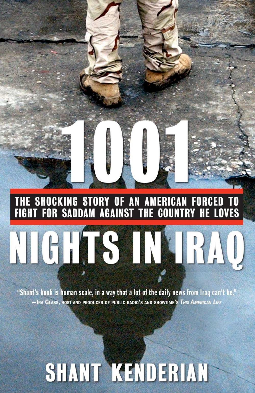 Big bigCover of 1001 Nights in Iraq