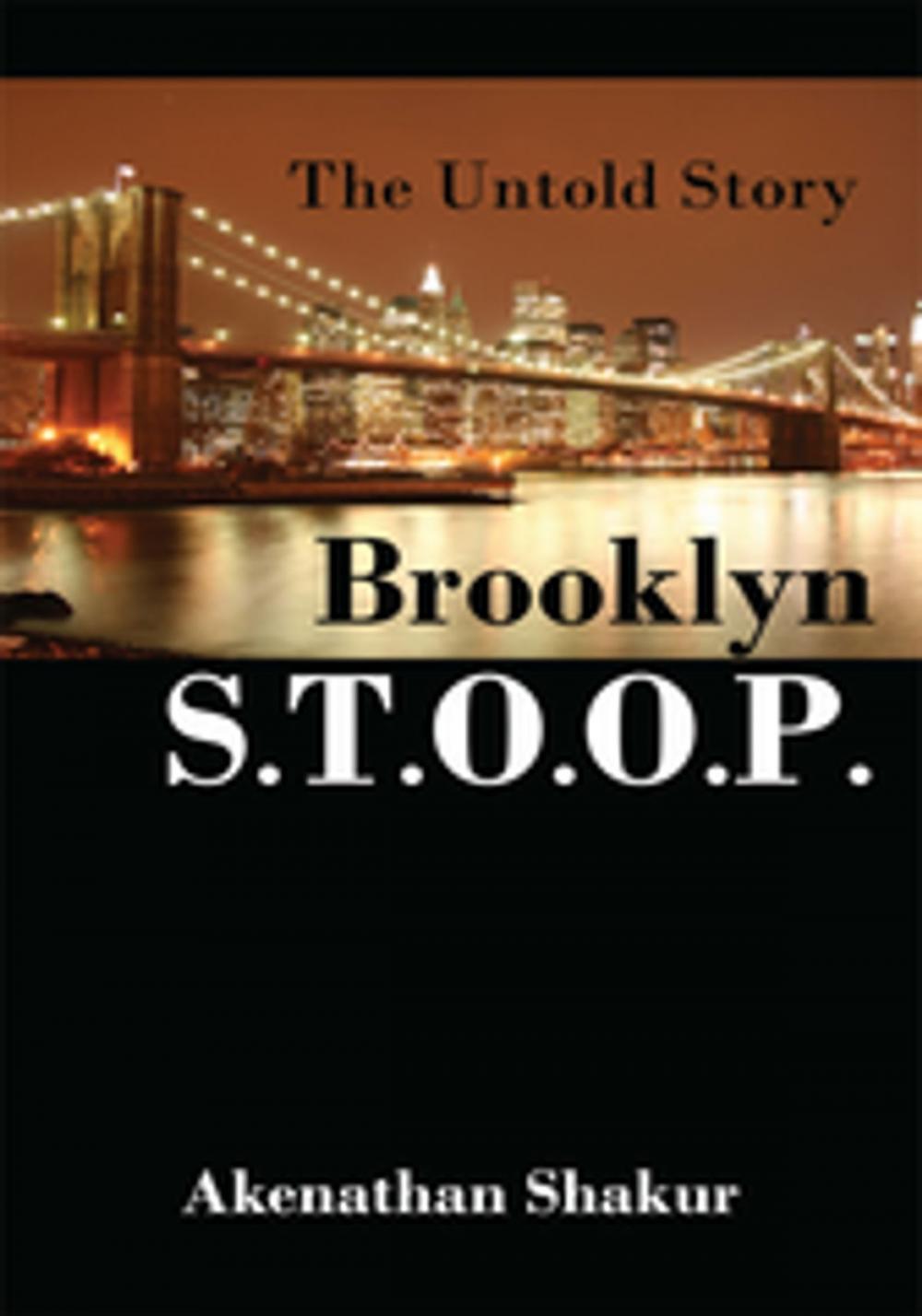 Big bigCover of Brooklyn S.T.O.O.P.