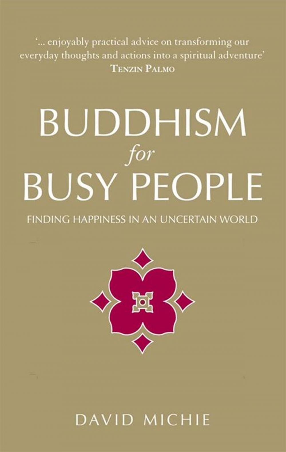 Big bigCover of Buddhism For Busy People