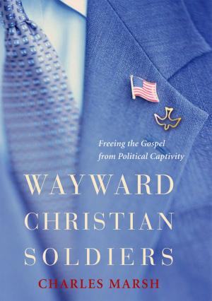 Cover of the book Wayward Christian Soldiers by Howard Kirschenbaum