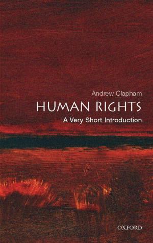 Cover of the book Human Rights: A Very Short Introduction by Richard I Lindley