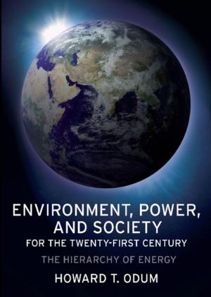 Cover of the book Environment, Power, and Society for the Twenty-First Century by Tahneer Oksman