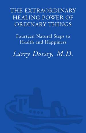 Cover of the book The Extraordinary Healing Power of Ordinary Things by Katie Dean