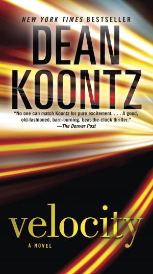 Cover of the book Velocity by Dean Koontz