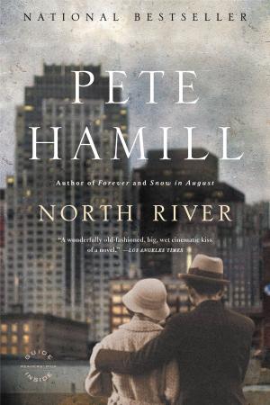 Cover of the book North River by Gabriel Roth