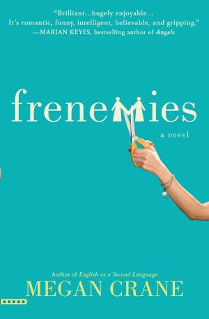 Cover of the book Frenemies by J. Suzanne Frank