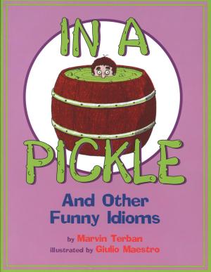 Book cover of In a Pickle