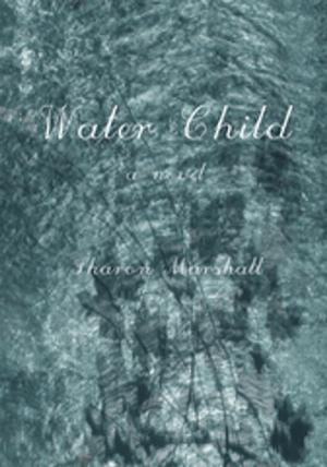 Cover of the book Water Child by Judith Weinshall Liberman