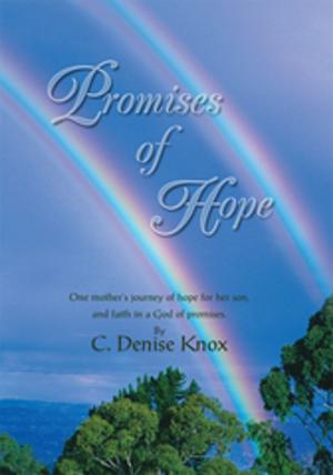 Book cover of Promises of Hope