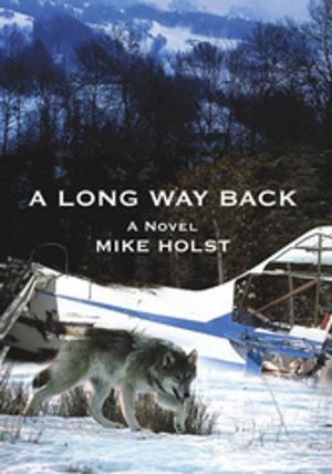 Cover of the book A Long Way Back by Shawn A. Jenkins