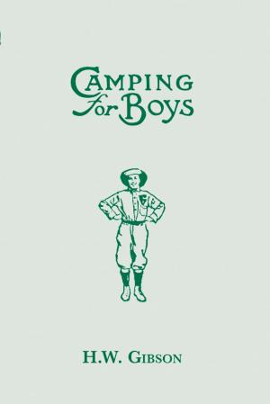 Cover of the book Camping for Boys by Robert Ferguson