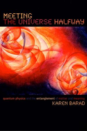 Cover of the book Meeting the Universe Halfway by Lora Wildenthal, Julia Adams, George Steinmetz