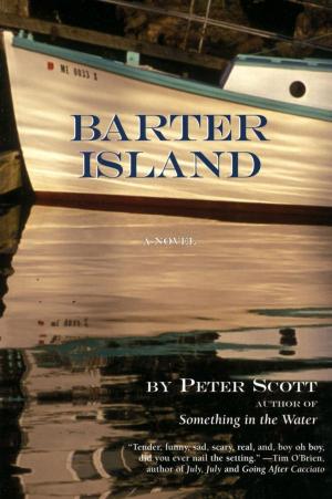 Book cover of Barter Island