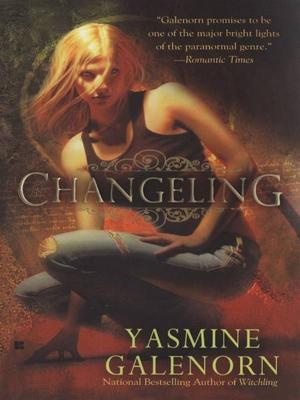 Cover of the book Changeling by Liz Levoy