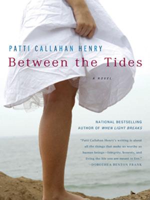 Book cover of Between The Tides