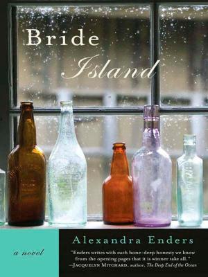 Cover of the book Bride Island by Elizabeth Loupas