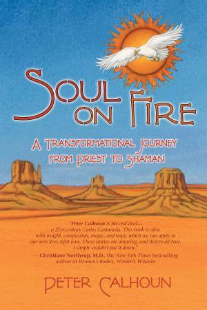 Cover of the book Soul on Fire by HIS HOLINESS, THE DALAI LAMA
