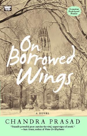 Cover of the book On Borrowed Wings by Cathi Hanauer