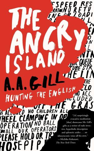 Cover of the book The Angry Island by Barry A. Whittingham