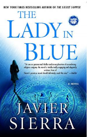 Cover of the book The Lady in Blue by Amy Hatvany