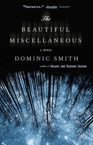 Cover of the book The Beautiful Miscellaneous by Donna Moreau