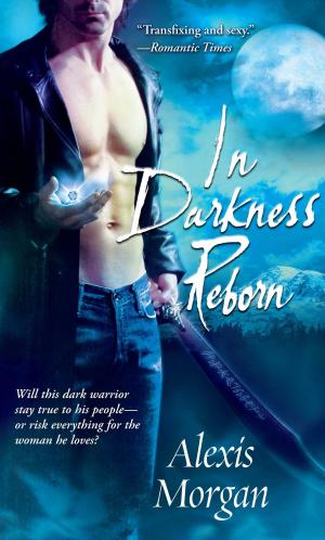 Book cover of In Darkness Reborn
