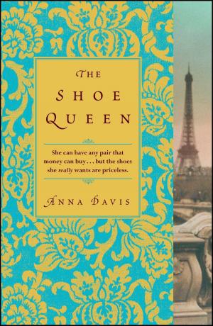 bigCover of the book The Shoe Queen by 