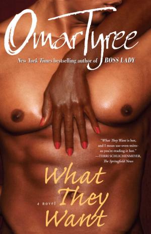 Cover of the book What They Want by Diane Wei Liang