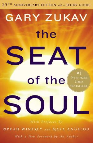 Cover of the book The Seat of the Soul by Joe McGinniss Jr.