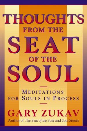 Cover of the book Thoughts From the Seat of the Soul by Rick Springfield