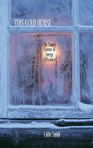 Cover of the book This Cold House by Janet Fogler, Lynn Stern
