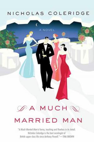 Cover of the book A Much Married Man by Chris Lavers