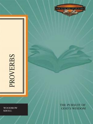 Cover of the book Proverbs: The Pursuit of God's Wisdom by John Piper