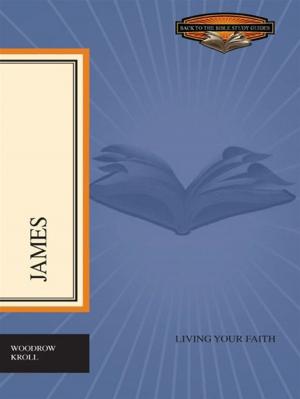 Cover of the book James: Living Your Faith by Rhys Bezzant, Robert W. Caldwell III, Paul Helm, Sean Michael Lucas, Michael McClenahan, Gerald R. McDermott, Dane C. Ortlund, Joe Rigney