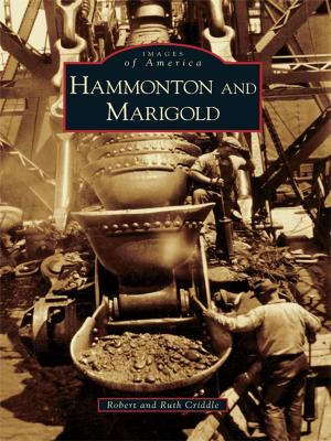 Cover of the book Hammonton and Marigold by Matthew S. Lautzenheiser, Dover Historical Society