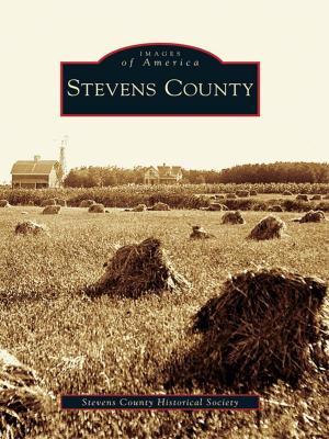 Cover of the book Stevens County by Alberto López Pulido & Rigoberto 