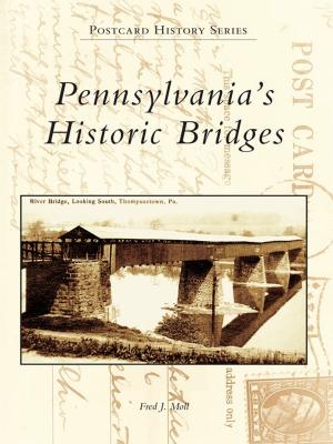 Cover of the book Pennsylvania's Historic Bridges by David Shribman, Jack DeGange