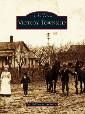 Cover of the book Victory Township by Susan McKeague Karnes