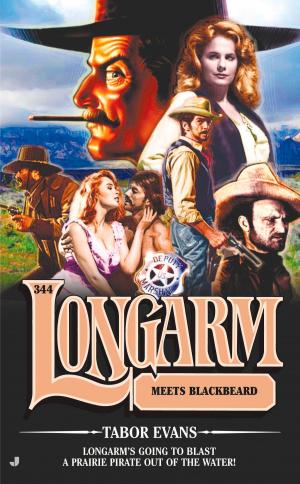 Cover of the book Longarm 344 by Garry Wills