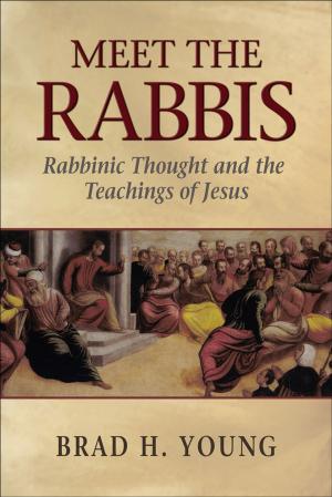 Cover of the book Meet the Rabbis by Rob Elliott