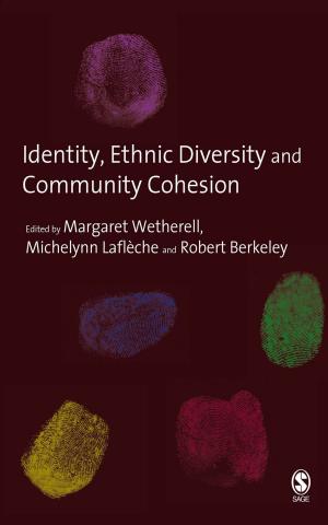 Cover of the book Identity, Ethnic Diversity and Community Cohesion by Dr. Arlene G. Fink