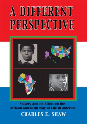 Cover of the book A Different Perspective by Sir Charles Davis