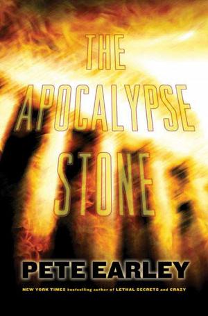 bigCover of the book The Apocalypse Stone by 