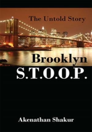 Cover of the book Brooklyn S.T.O.O.P. by Grandpa Dennis